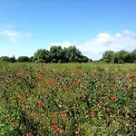 Traumhaftes Ostsee- Unter Reet In Prázdninový dům *