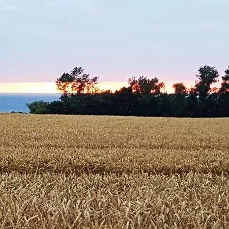 Traumhaftes Ostsee- Unter Reet In *
