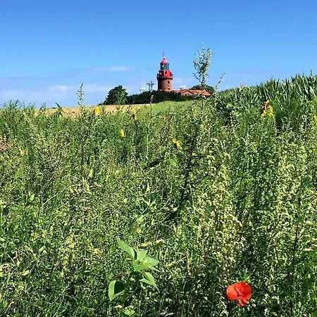 Traumhaftes Ostsee- Unter Reet In * Rerik